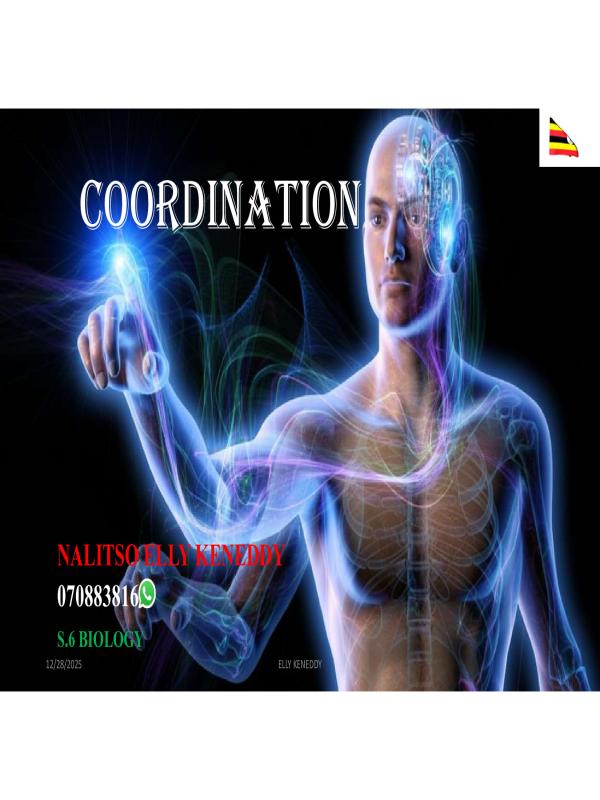 S.6 Coordination Notes by Elly Kenny