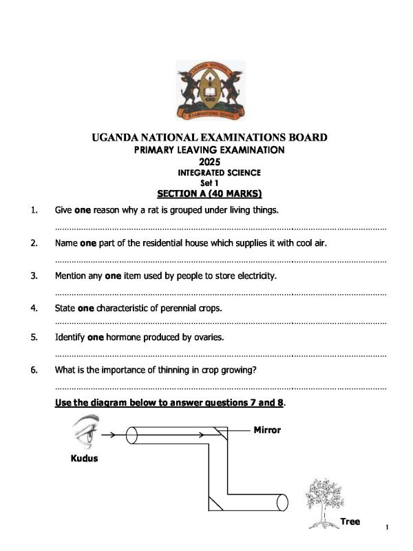 P.7 Science Blueprint Assessment  Set one