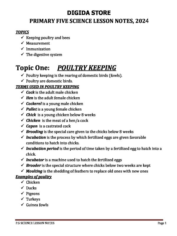 P.5 Science Lesson Notes   All Terms