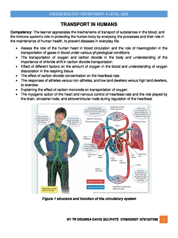 S.5 Biology CBC Notes: Transport in Humans - Uganda Curriculum